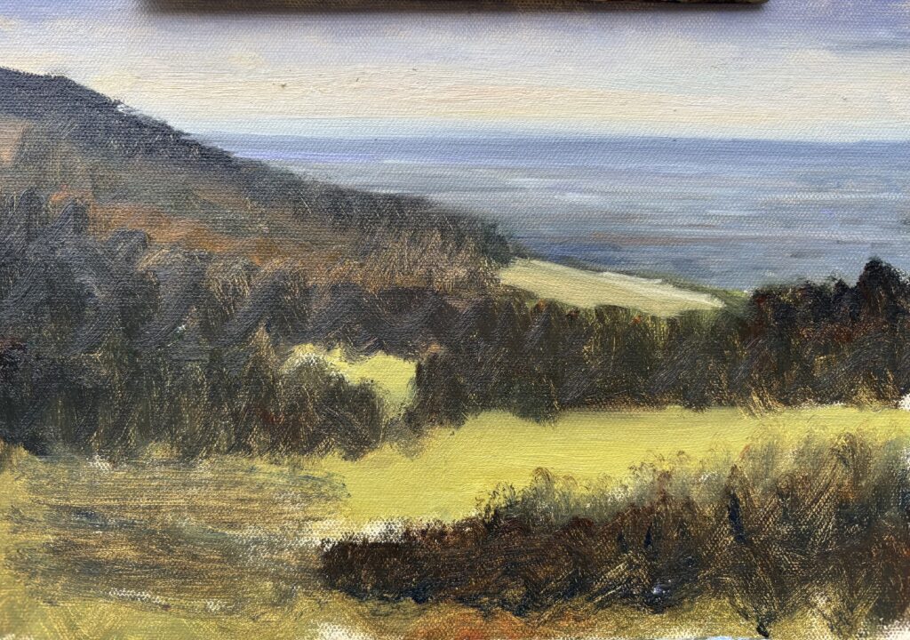 Early stage of a plein air painting at Ticknock in the Dublin Mountains
